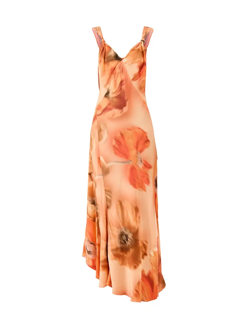 Blurred Floral Sofia Dress 1