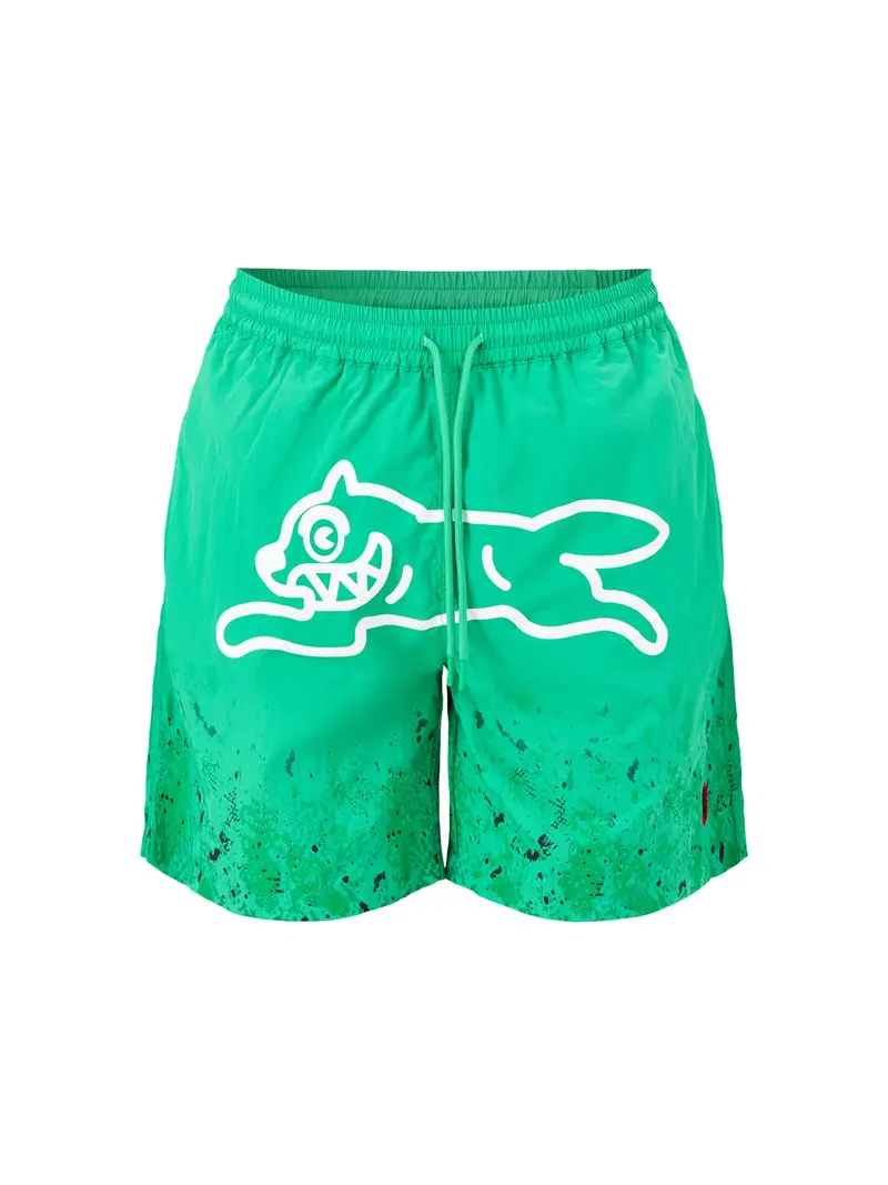 Gradient Snakeskin Running Dog Swim Shorts Green 1