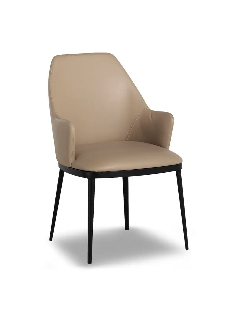 Shima Faux Leather Dining Chair 1