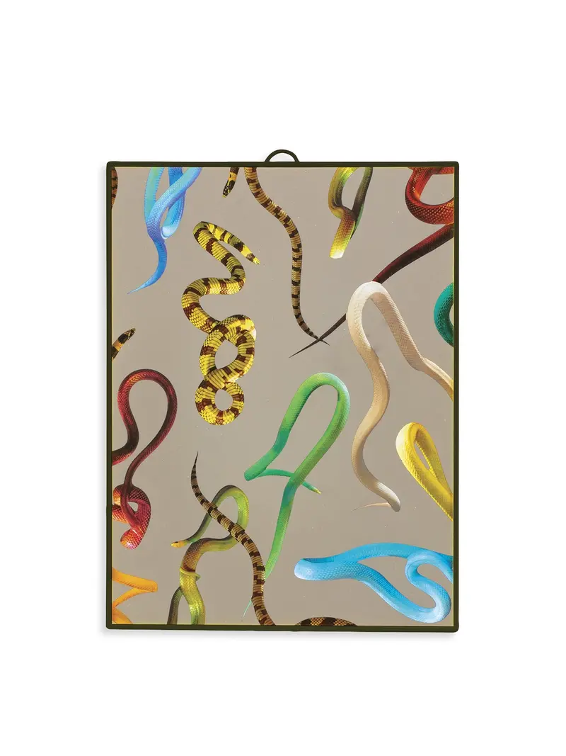 Toiletpaper Mirror Snakes 1