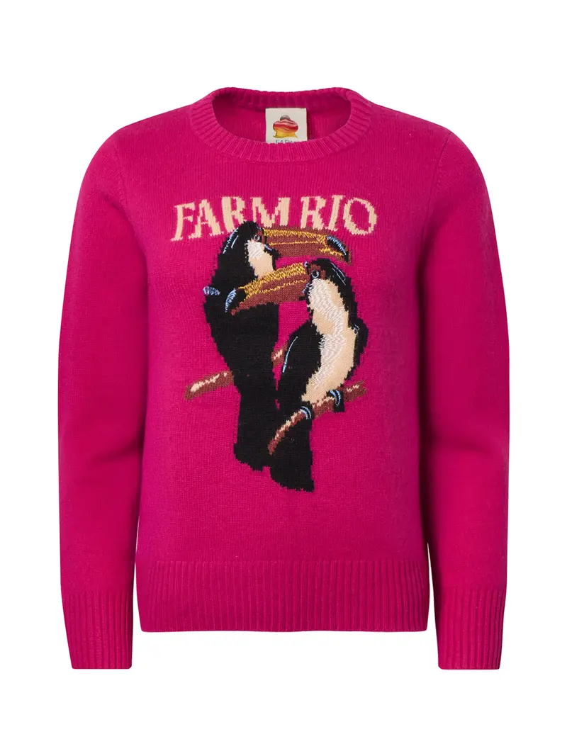 Tucan Intarsia Knit Sweater Multi 1