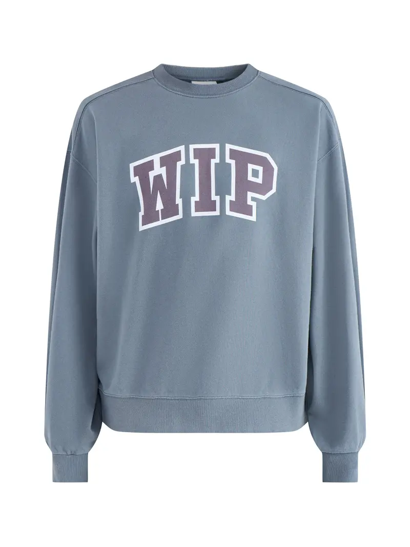 Wip Iii Sweatshirt Blue 1
